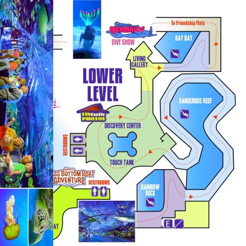 Ripley's Aquarium