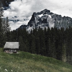 The Cottage
