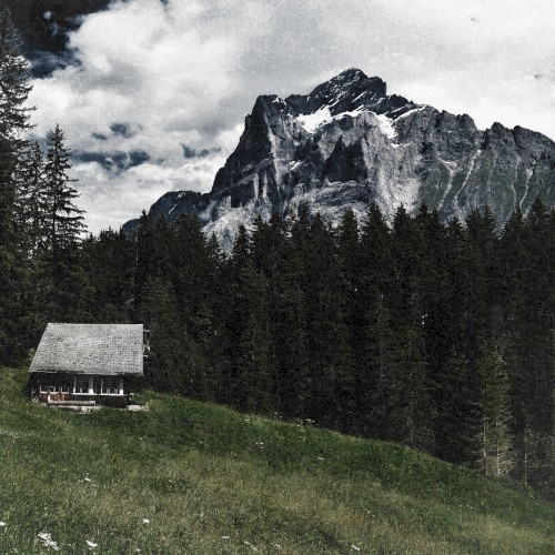 The Cottage