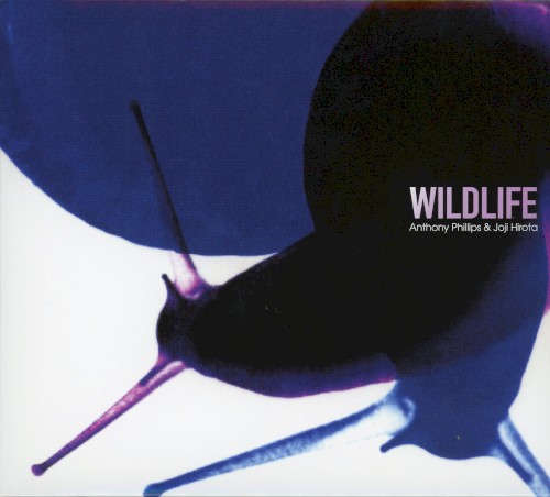 Wildlife