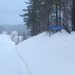 Sappen