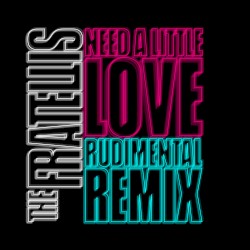 Need a Little Love (Rudimental remix)