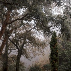 Mardi avant-midi