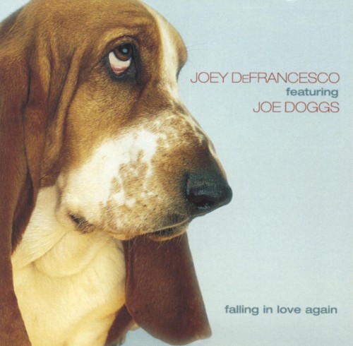 Falling in Love Again