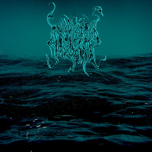 Submerged and Forgotten