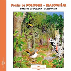 Forêts de Pologne ‐ Białowieża / Forests of Poland ‐ Białowieża