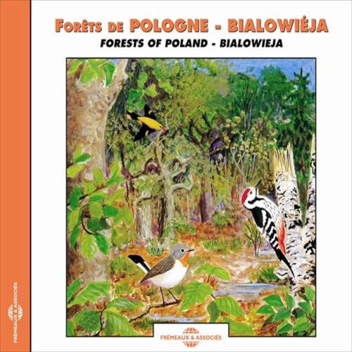 Forêts de Pologne ‐ Białowieża / Forests of Poland ‐ Białowieża