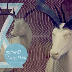 pg.lost / Wang Wen