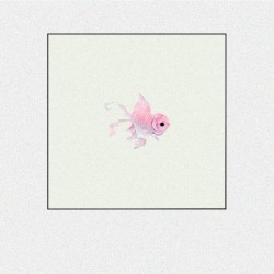 July / Fish
