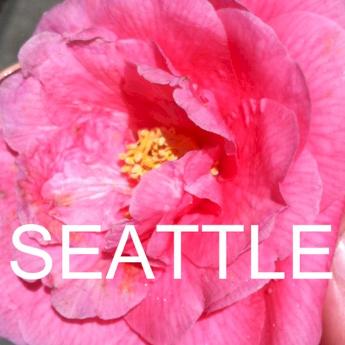 SEATTLE