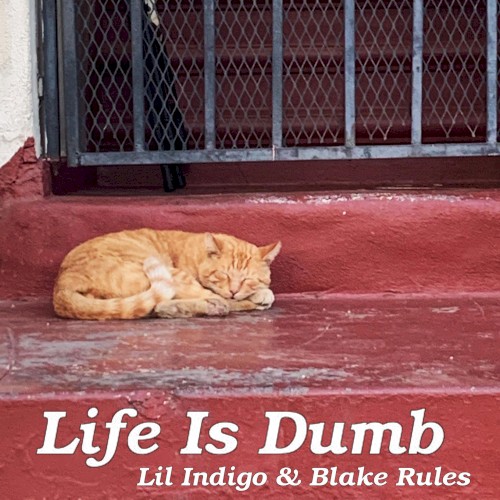 Life Is Dumb