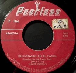 Recargado en el farol / Pasto verde