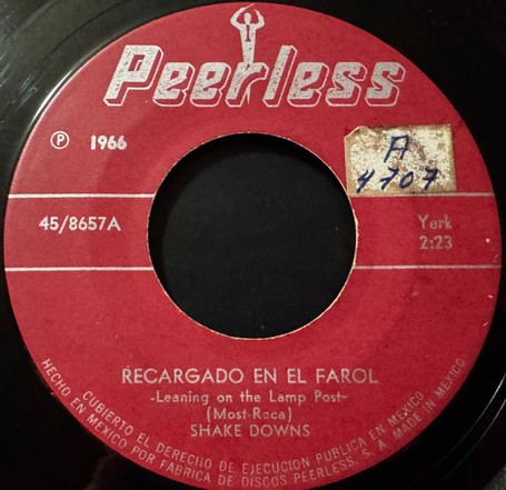 Recargado en el farol / Pasto verde
