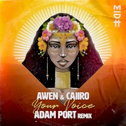 Your Voice (Adam Port remix)