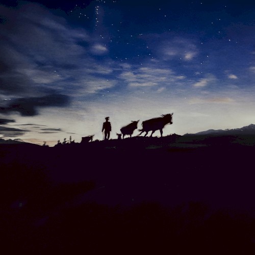 A Shepherds Life (Sonic Story)