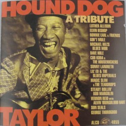 Hound Dog Taylor: A Tribute