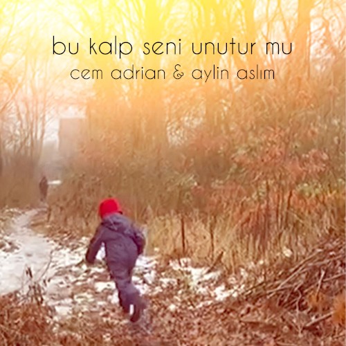 Bu Kalp Seni Unutur mu?