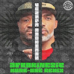Afrokinetic (Monk‐One remix)