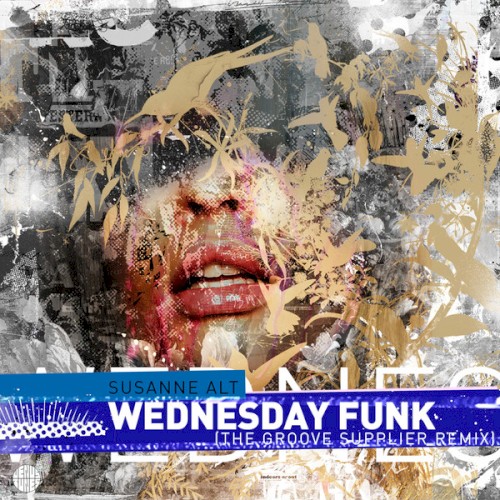 Wednesday Funk (The Groove Supplier remix)