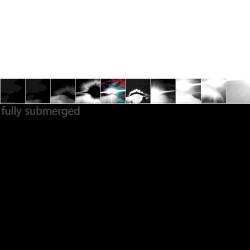 fully submerged i – x