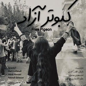 Kabootar e Azad (Free Pigeon)