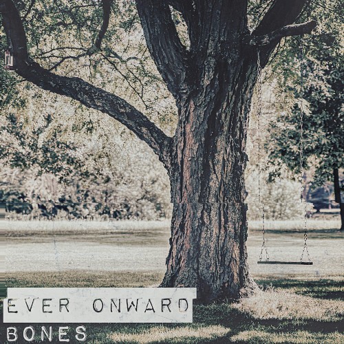 Bones