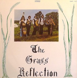 The Grass Reflection