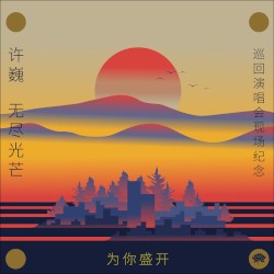 为你盛开-许巍《无尽光芒》巡回演唱会现场纪念