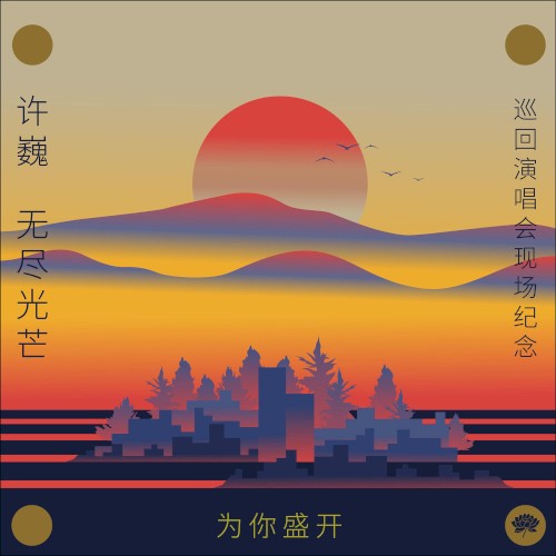 为你盛开-许巍《无尽光芒》巡回演唱会现场纪念