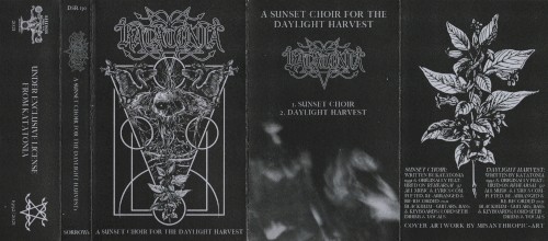 A Sunset Choir for the Daylight Harvest