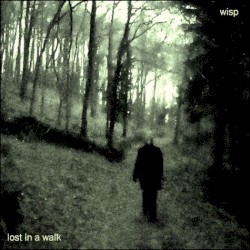 Lost in a Walk