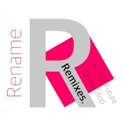 In the Future / Never Stop (Remixes)
