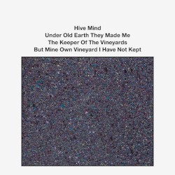 Under Old Earth They Made Me The Keeper Of The Vineyards But Mine Own Vineyard I Have Not Kep