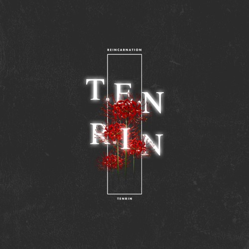 T.E.N.R.I.N