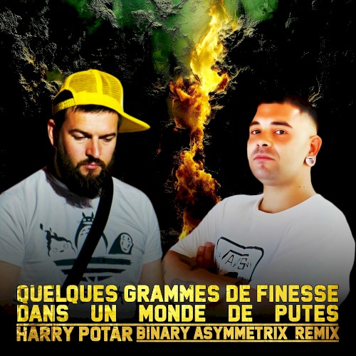 Quelques Grammes de finesse dans un monde de putes (Binary Asymmetrix Remix)
