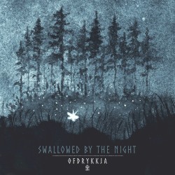 Swallowed by the Night