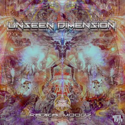 Unseen Dimensions