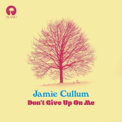 Don’t Give Up on Me
