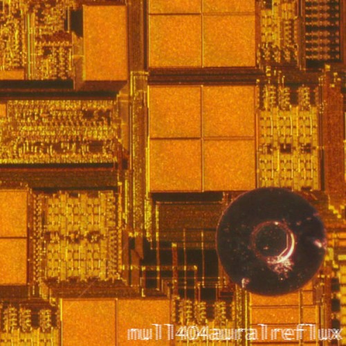 Aural Reflux
