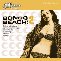 Bongo Beach 2