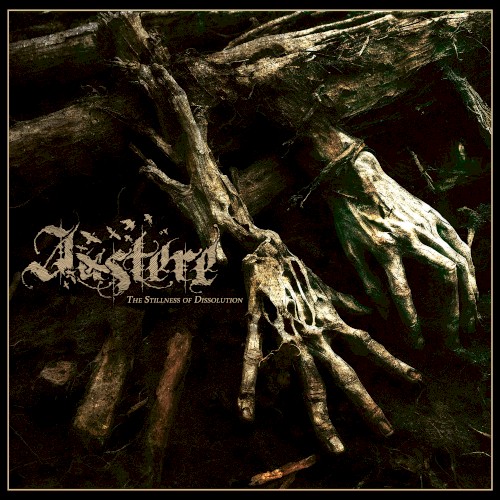 The Stillness of Dissolution