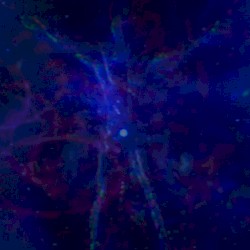 ⋆｡𖦹°⭒˚｡𝕄𝓔T∀𝓶ⓞᖇ𝐩𝐇Øs𝕚𝓢｡𖦹°⭒˚｡⋆