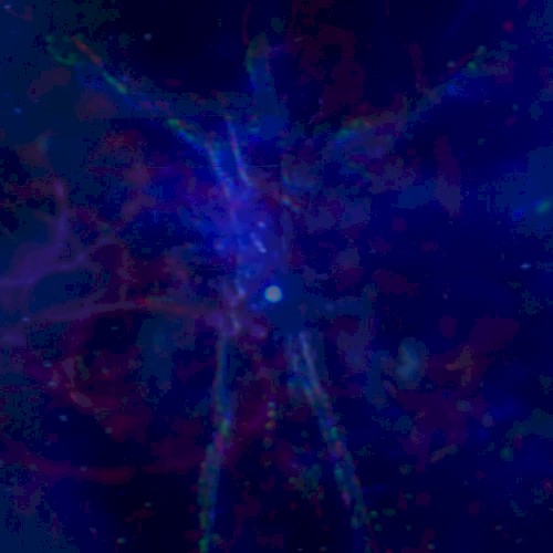 ⋆｡𖦹°⭒˚｡𝕄𝓔T∀𝓶ⓞᖇ𝐩𝐇Øs𝕚𝓢｡𖦹°⭒˚｡⋆