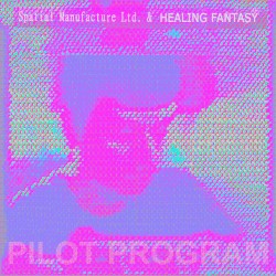 PILOT PROGRAM