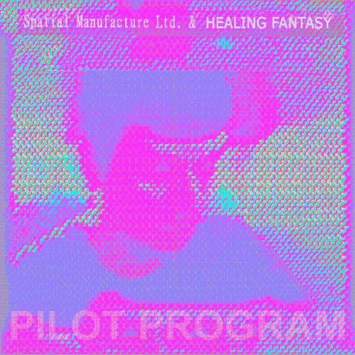 PILOT PROGRAM