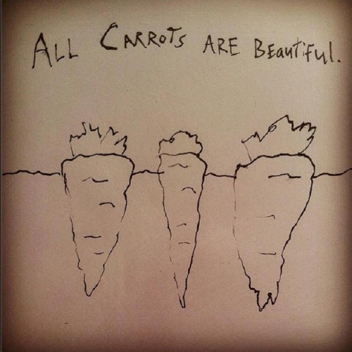 All Carrots Are Beautiful