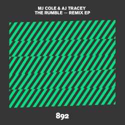 The Rumble (remixes)