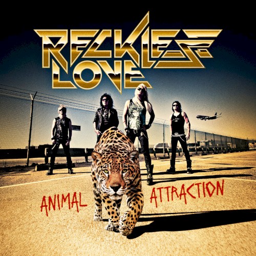 Animal Attraction
