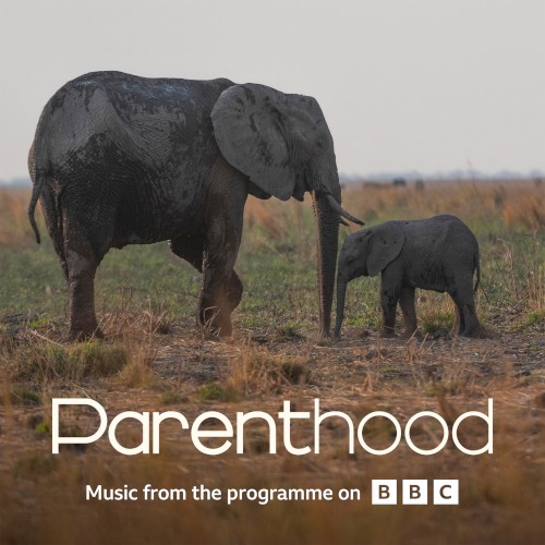 Go Steady (from BBC’s Parenthood)
