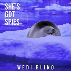 Wedi Blino